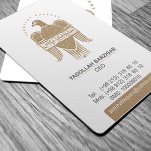 کارت ویزیت pvc - داتکو - 6565