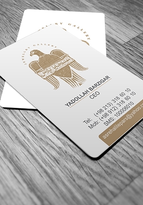 کارت ویزیت pvc - داتکو - 6565