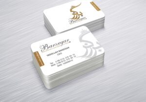 کارت ویزیت pvc - داتکو - 6567