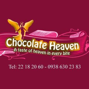 کارت ویزیت pvc - داتکو - 2354