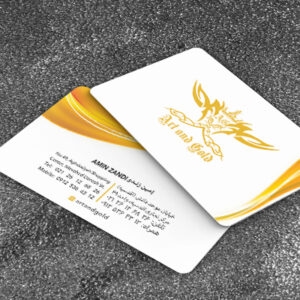 کارت ویزیت pvc - داتکو - 6669