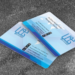 کارت ویزیت pvc - داتکو - 6673