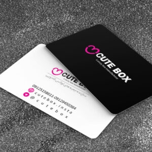 کارت ویزیت pvc - داتکو - 6687