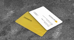 کارت ویزیت pvc - داتکو - 6691