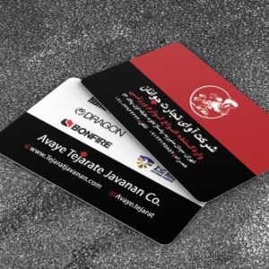 کارت ویزیت pvc - داتکو - 6695