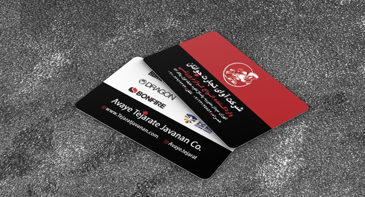 کارت ویزیت pvc - داتکو - 6695