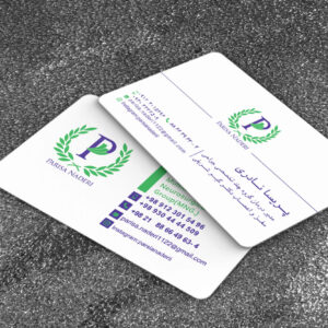 کارت ویزیت pvc - داتکو - 6791