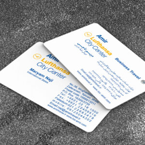 کارت ویزیت pvc - داتکو - 6807