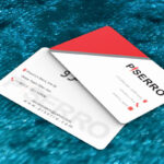 کارت ویزیت pvc - داتکو - 6866