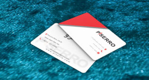 کارت ویزیت pvc - داتکو - 6866