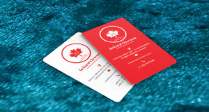 کارت ویزیت pvc - داتکو - 6884