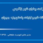 کارت ویزیت pvc - داتکو - 2384