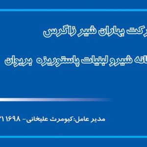 کارت ویزیت pvc - داتکو - 2384