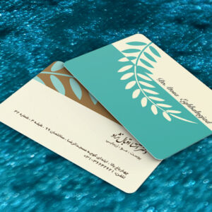 کارت ویزیت pvc - داتکو - 7013