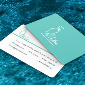 کارت ویزیت pvc - داتکو - 7067