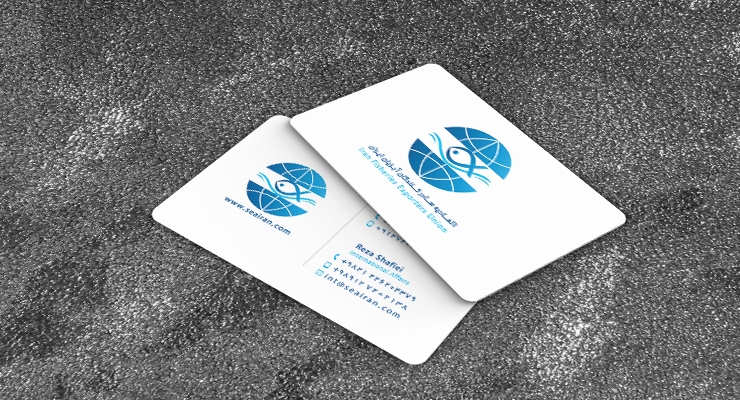 کارت ویزیت pvc - داتکو - 7100