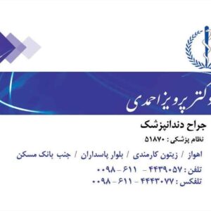 کارت ویزیت pvc - داتکو - 2409