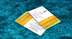 کارت ویزیت pvc - داتکو - 7306