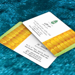 کارت ویزیت pvc - داتکو - 7306