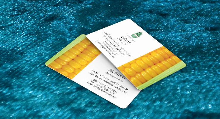 کارت ویزیت pvc - داتکو - 7306