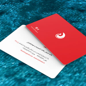 کارت ویزیت pvc - داتکو - 7314