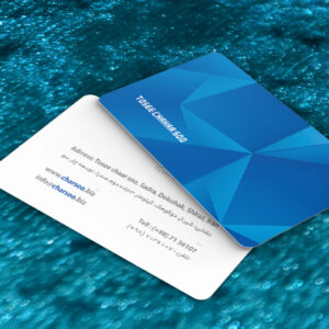 کارت ویزیت pvc - داتکو - 7332