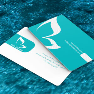 کارت ویزیت pvc - داتکو - 7381