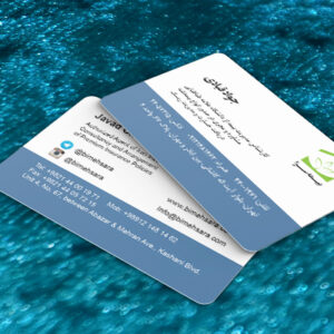 کارت ویزیت pvc - داتکو - 7383