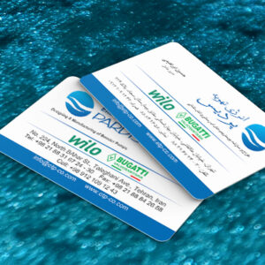 کارت ویزیت pvc - داتکو - 7393