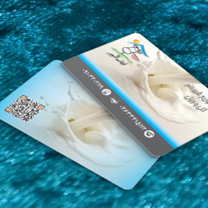 کارت ویزیت pvc - داتکو - 7397