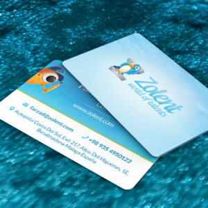 کارت ویزیت pvc - داتکو - 7403