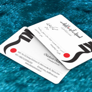 کارت ویزیت pvc - داتکو - 7422