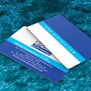 کارت ویزیت pvc - داتکو - 7438