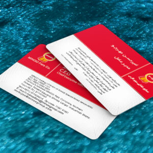 کارت ویزیت pvc - داتکو - 7443