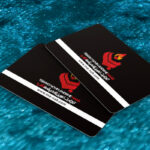 کارت ویزیت pvc - داتکو - 7480