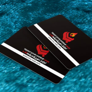 کارت ویزیت pvc - داتکو - 7480