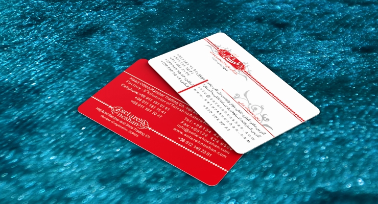 کارت ویزیت pvc - داتکو - 7504