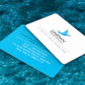 کارت ویزیت pvc - داتکو - 7526