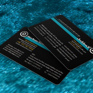 کارت ویزیت pvc - داتکو - 7542