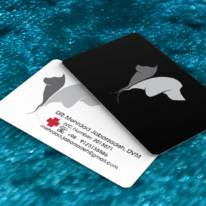 کارت ویزیت pvc - داتکو - 7613