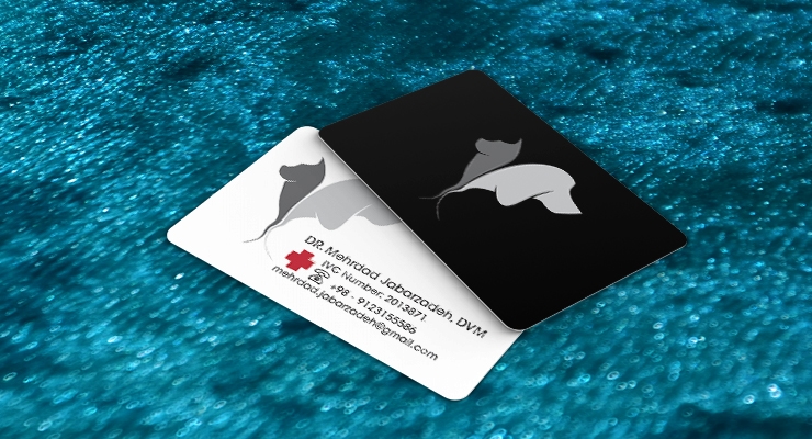 کارت ویزیت pvc - داتکو - 7613