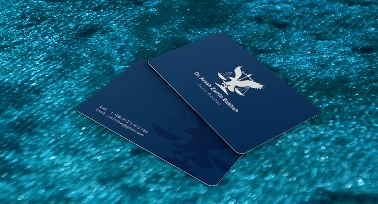 کارت ویزیت pvc - داتکو - 7626