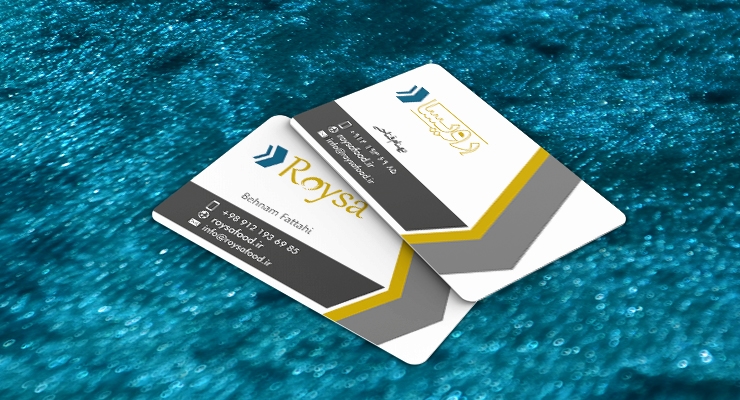 کارت ویزیت pvc - داتکو - 7686