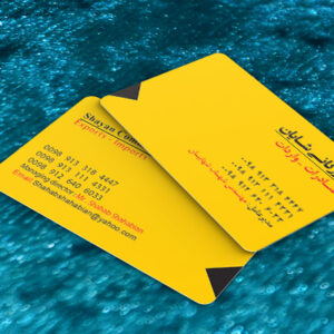 کارت ویزیت pvc - داتکو - 7694