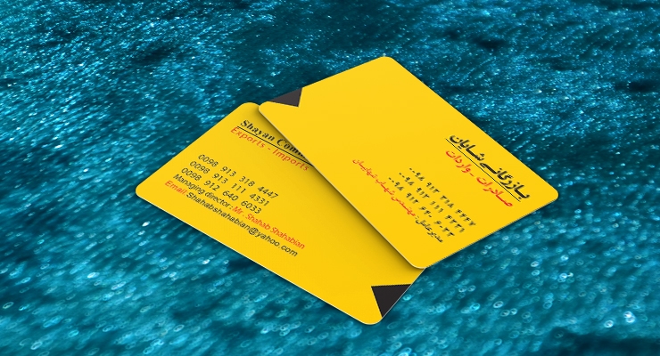 کارت ویزیت pvc - داتکو - 7694