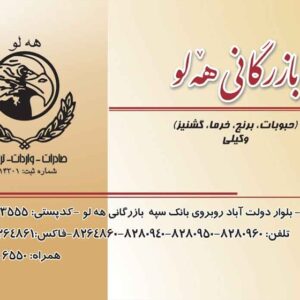 کارت ویزیت pvc - داتکو - 2499