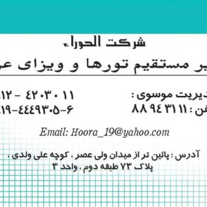 کارت ویزیت pvc - داتکو - 2503