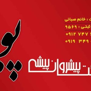 کارت ویزیت pvc - داتکو - 2517