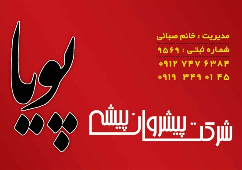 کارت ویزیت pvc - داتکو - 2517