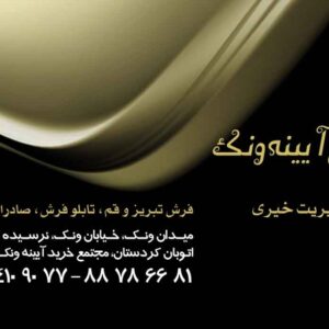 کارت ویزیت pvc - داتکو - 2564